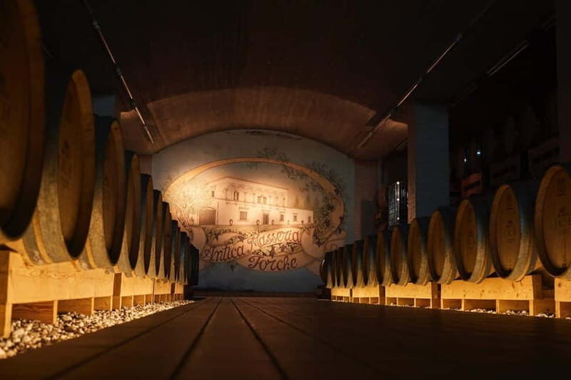 Wine Tour "Discovery Jarche" - Analyzing the Experience: What the Tour Offers and Why It Matters