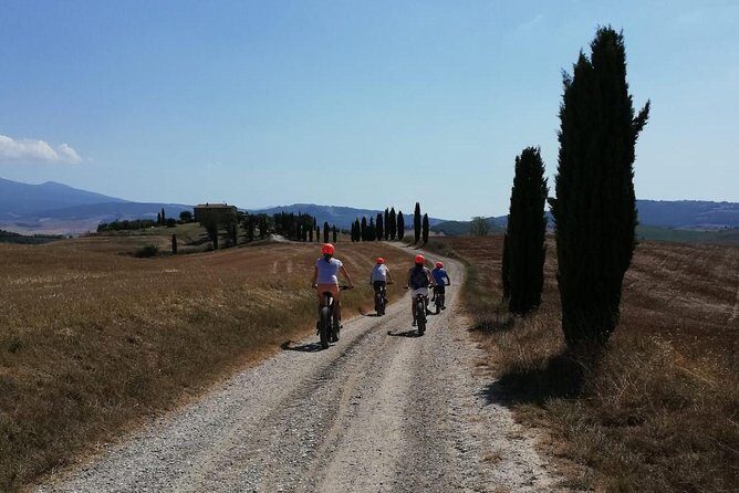 Wine Tour Ebike Experience - Who Should Book This Experience?