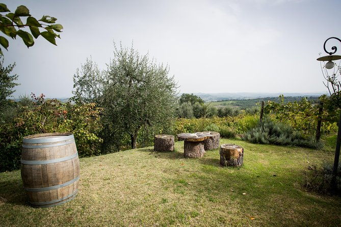 wine-tour-experience-at-agricola-tamburini-2
