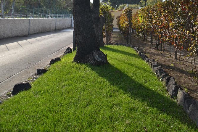 wine-tour-experience-for-family-or-friends-group