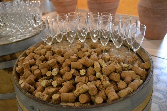wine-tour-experience-for-family-or-friends-group