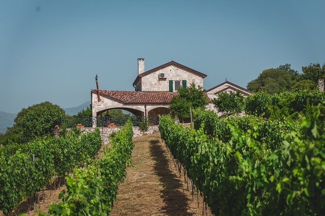 wine-tour-family-winery-visit-food-tasting-skadar-lake-boat-cruise