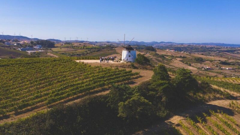 wine-tour-from-lisbon-with-tastings-winemaker-for-a-day