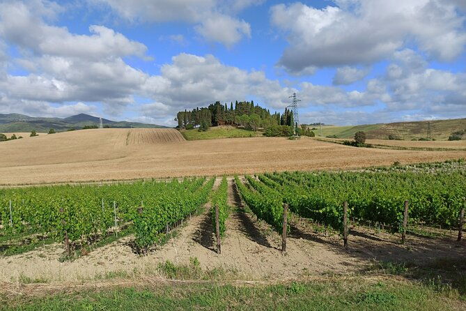 wine-tour-in-chianti-and-visit-of-san-gimignano-for-small-groups