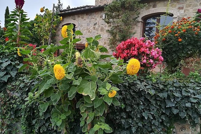 wine-tour-in-chianti-and-visit-of-san-gimignano-for-small-groups