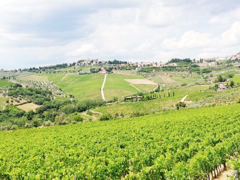 wine-tour-in-open-top-van