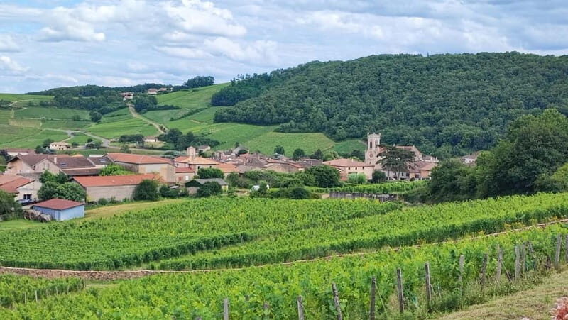 Wine tour in Pouilly Fuissé - Frequently Asked Questions  