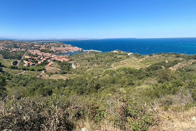wine-tour-in-roussillon-picnic-tasting-day