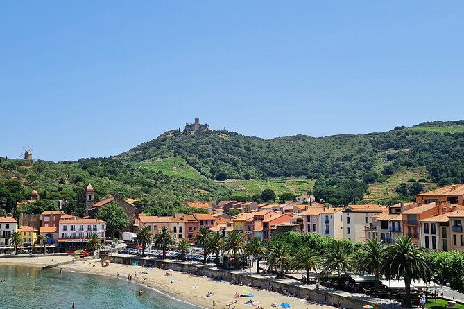 wine-tour-in-roussillon-picnic-tasting-day
