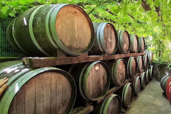wine-tour-in-roussillon-picnic-tasting-day