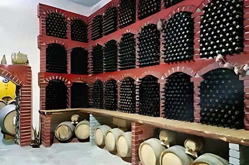 Wine tour in Samarkand (Baguizagan) English - Key Points