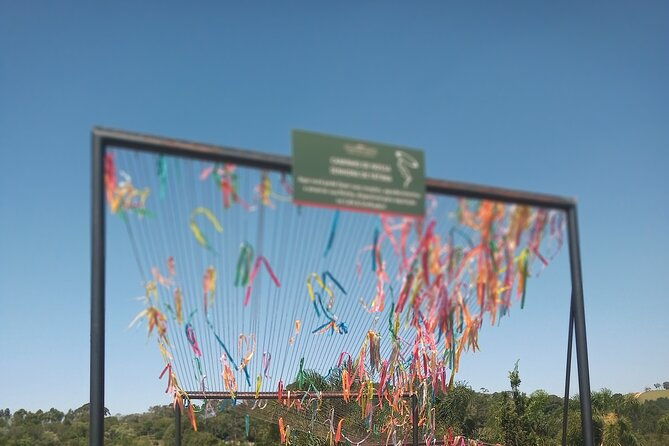 wine-tour-in-sao-roque-by-car-tour-with-local-guides
