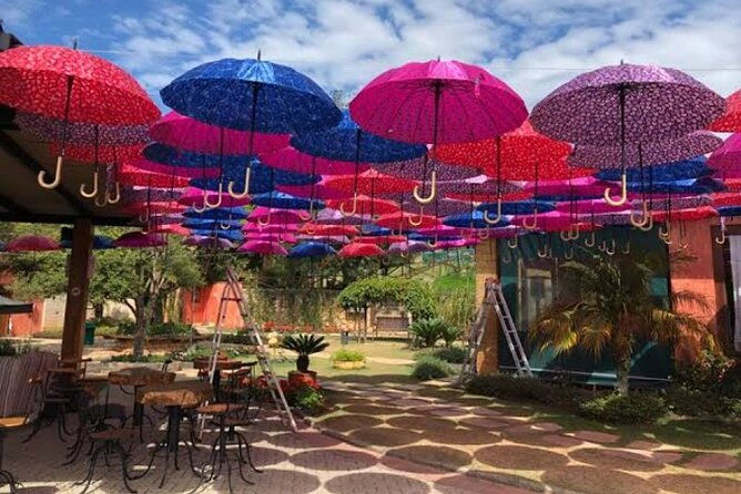wine-tour-in-sao-roque-by-car-tour-with-local-guides