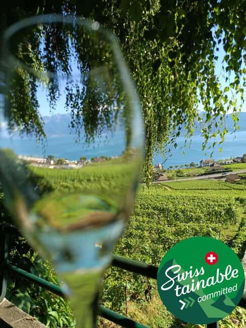 Wine tour in the canton of Vaud - Lavaux vineyards - Tasting the Wines of Vaud