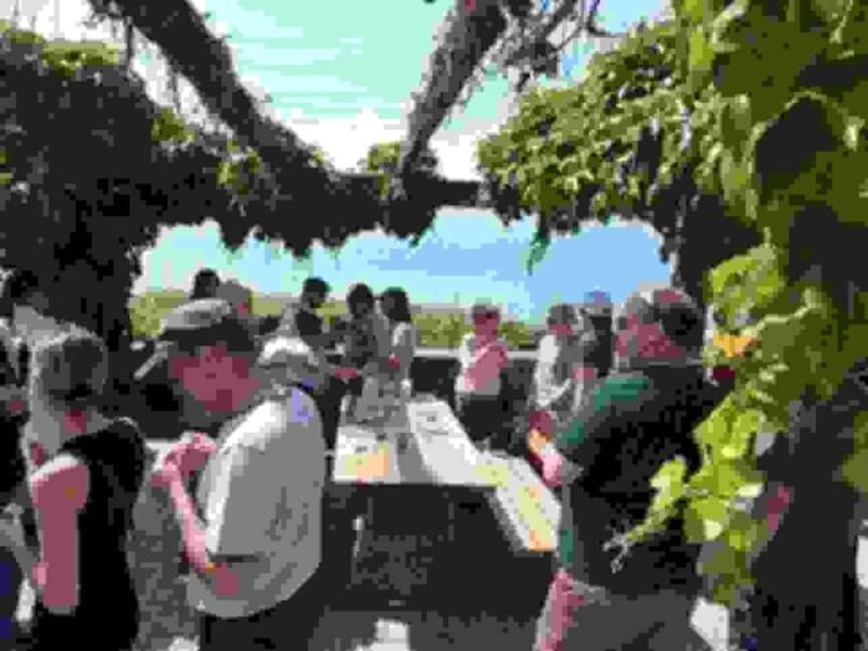 Wine tour in the canton of Vaud - Lavaux vineyards - Additional Experiences and Practical Details