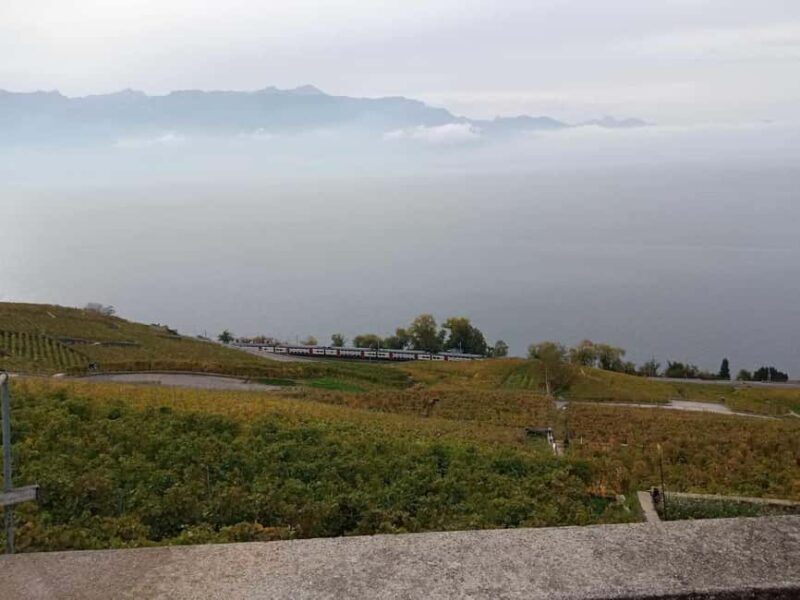 Wine tour in the canton of Vaud - Lavaux vineyards - Who Will Love This Tour?