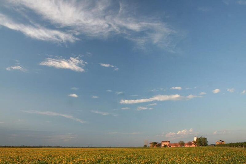 wine-tour-in-the-hemingway-lands-close-to-caorle-lagoon