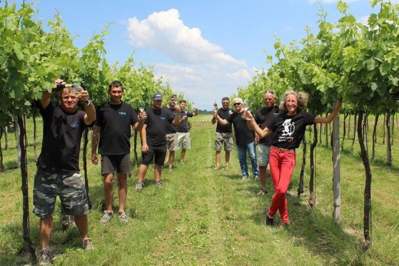 wine-tour-in-the-hemingway-lands-close-to-caorle-lagoon
