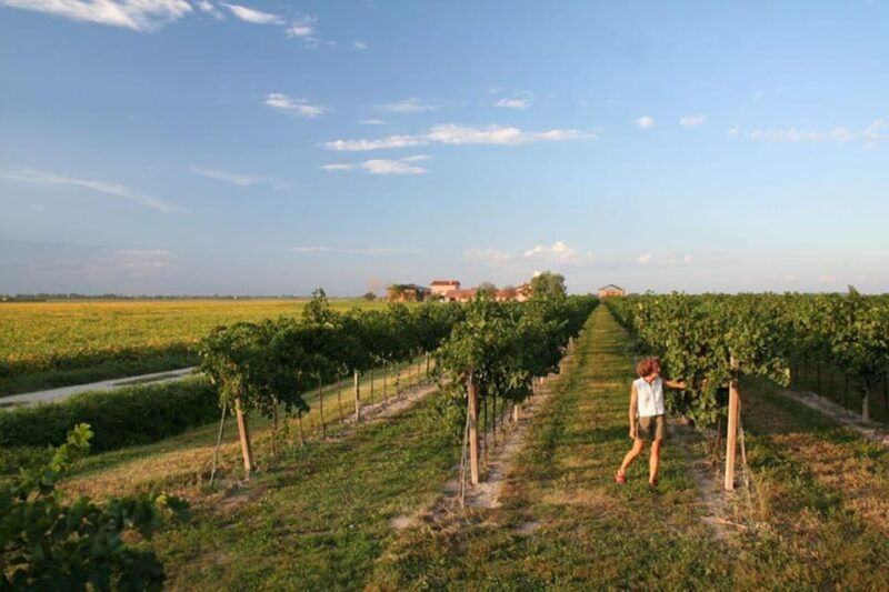 wine-tour-in-the-hemingway-lands-close-to-caorle-lagoon