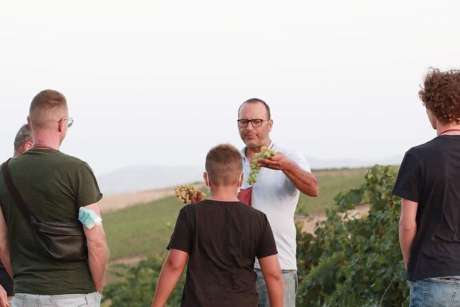 wine-tour-in-the-historic-baglio-florio-adamo-with-lunch