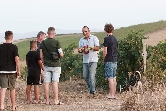 wine-tour-in-the-historic-baglio-florio-adamo-with-lunch