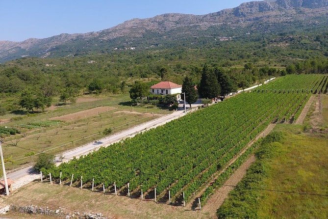wine-tour-konavle