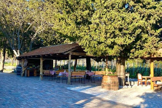wine-tour-konavle