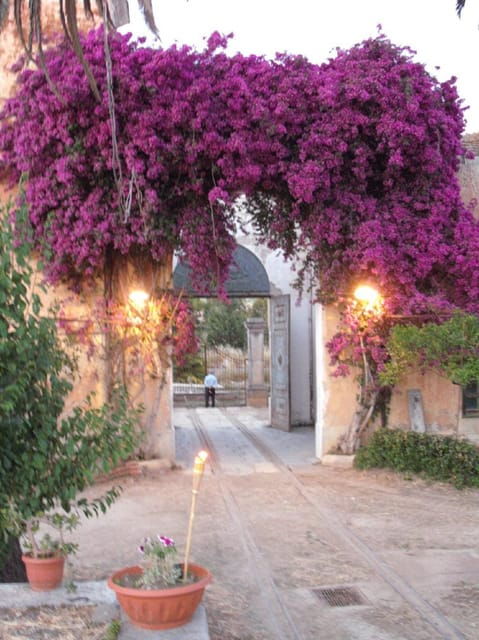 wine-tour-lunch-dinner-in-the-historic-baglio-florio-adamo