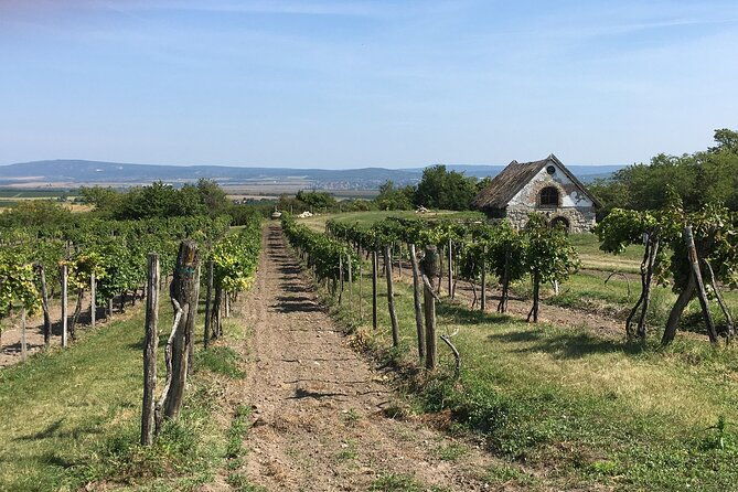 wine-tour-of-etyek-from-budapest-taste-even-7-kinds-of-wines