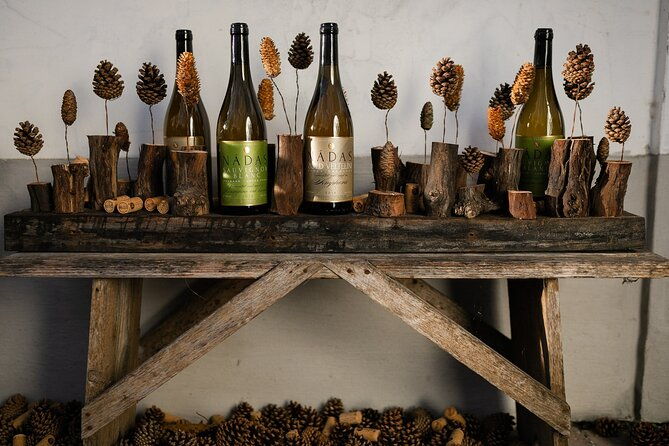 wine-tour-of-etyek-from-budapest-taste-even-7-kinds-of-wines