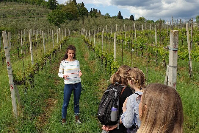 wine-tour-of-two-chianti-wine-estates-on-the-hills-of-florence