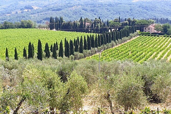 wine-tour-of-two-chianti-wine-estates-on-the-hills-of-florence