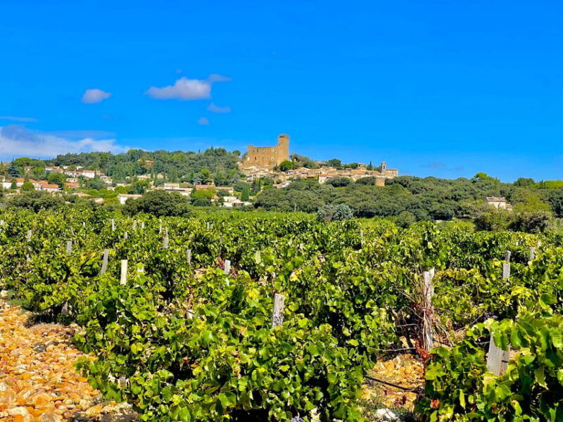 wine-tour-on-the-way-to-chateauneuf-du-pape