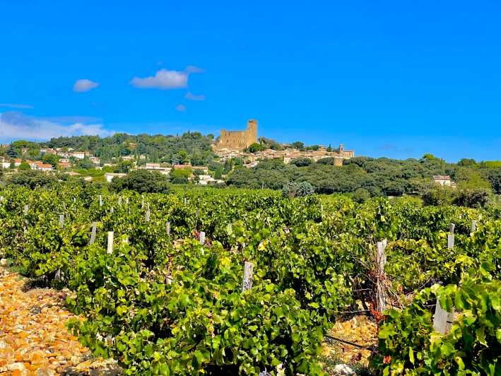 wine-tour-on-the-way-to-chateauneuf-du-pape