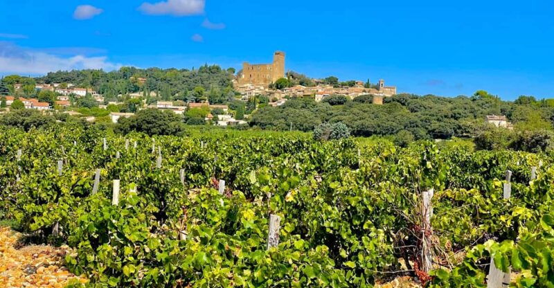 wine-tour-on-the-way-to-chateauneuf-du-pape