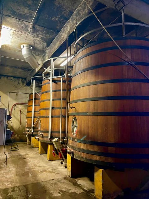 wine-tour-on-the-way-to-chateauneuf-du-pape