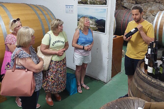 wine-tour-peljesac