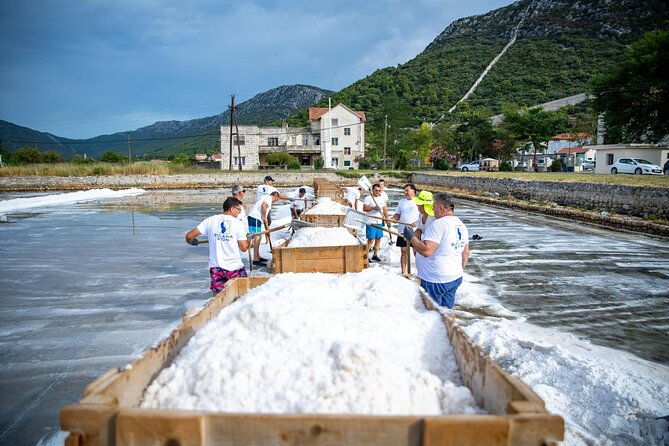 wine-tour-peninsula-peljesac