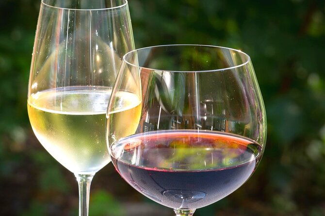 wine-tour-peninsula-peljesac