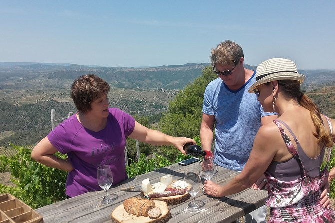 wine-tour-priorat-visit-2-top-wineries-wine-tasting-gourmet-lunch