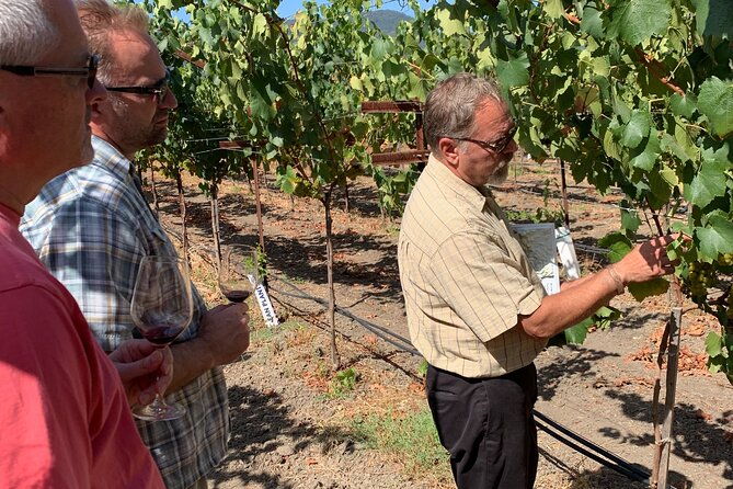 wine-tour-pros-napa-wine-tour-suv-up-to-6-guests
