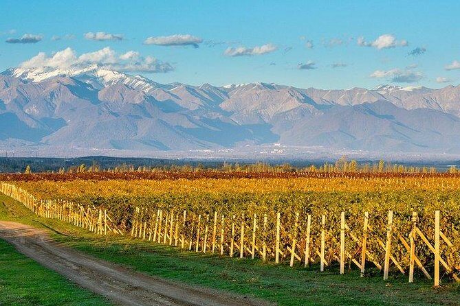 Wine Tour Qabala with Local Lunch - Discovering the Savalan Valley: A Complete Breakdown
