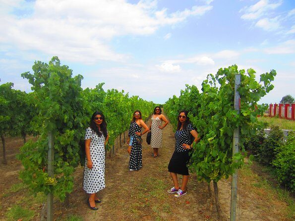 Wine Tour Qabala with Local Lunch - Frequently Asked Questions