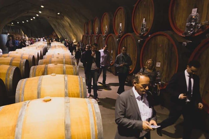 WINE TOUR: Recommended for hedonists! - Key Points  