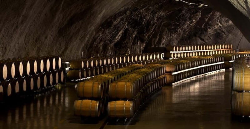 WINE TOUR: Recommended for hedonists! - The Experience in Detail  