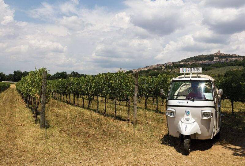 wine-tour-spello-in-tuk-tuk-english-spanish