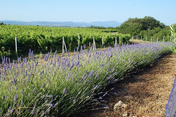 wine-tour-tasting-herzegovina