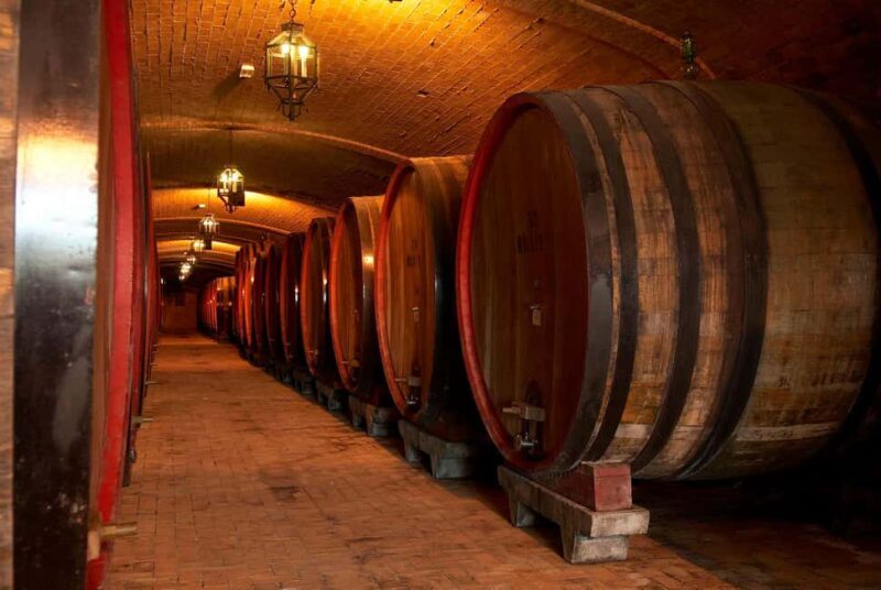 Wine Tour & Tasting TUSCANY - Analyzing the Value: Is It Worth the Price?