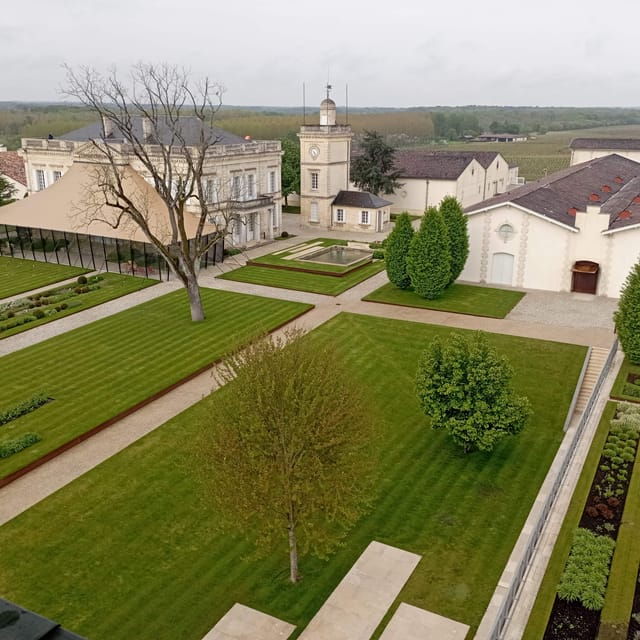 wine-tour-the-beauty-and-flavors-of-bordeaux-vineyards