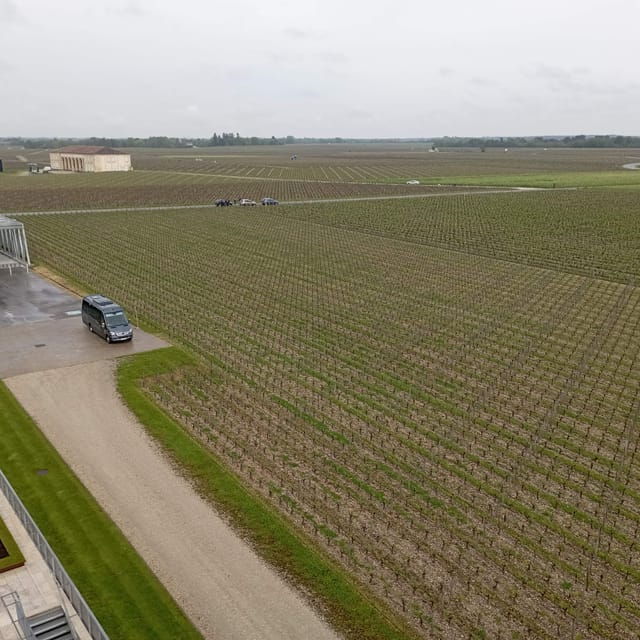 wine-tour-the-beauty-and-flavors-of-bordeaux-vineyards